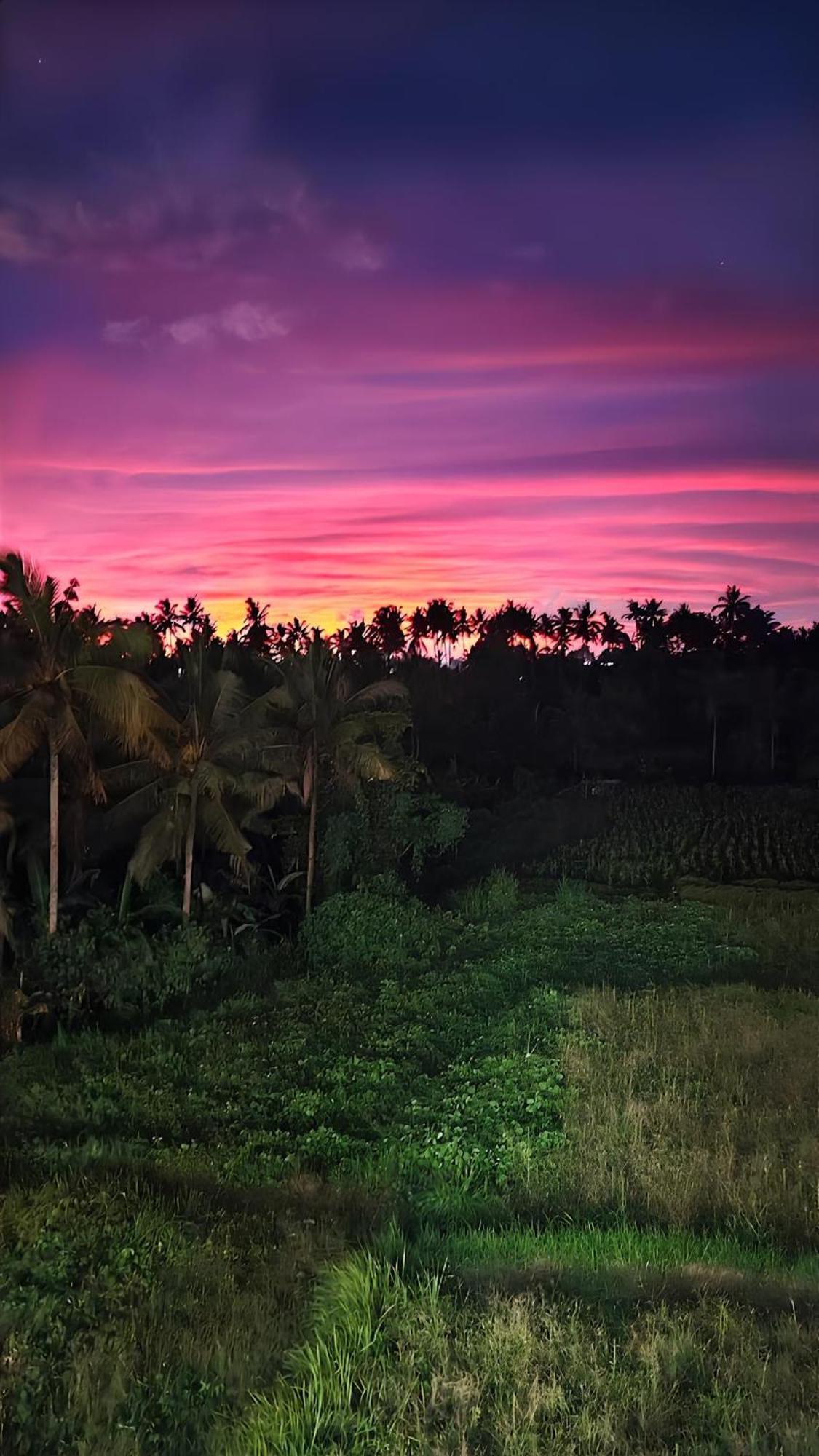 Wadari Retreat Villa Ubud Exterior photo